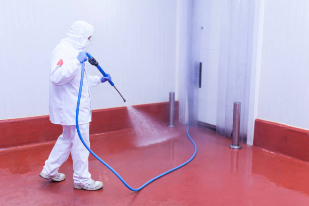 Paint Preparation in Central, TN