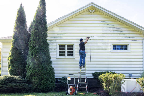 Best Dumpster Area Cleaning  in Central, TN